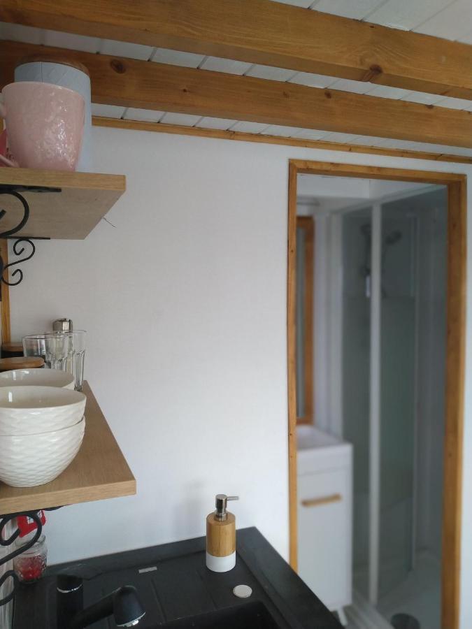 הוילה Sinnicoara Tiny House Cluj With Jacuzzi מראה חיצוני תמונה