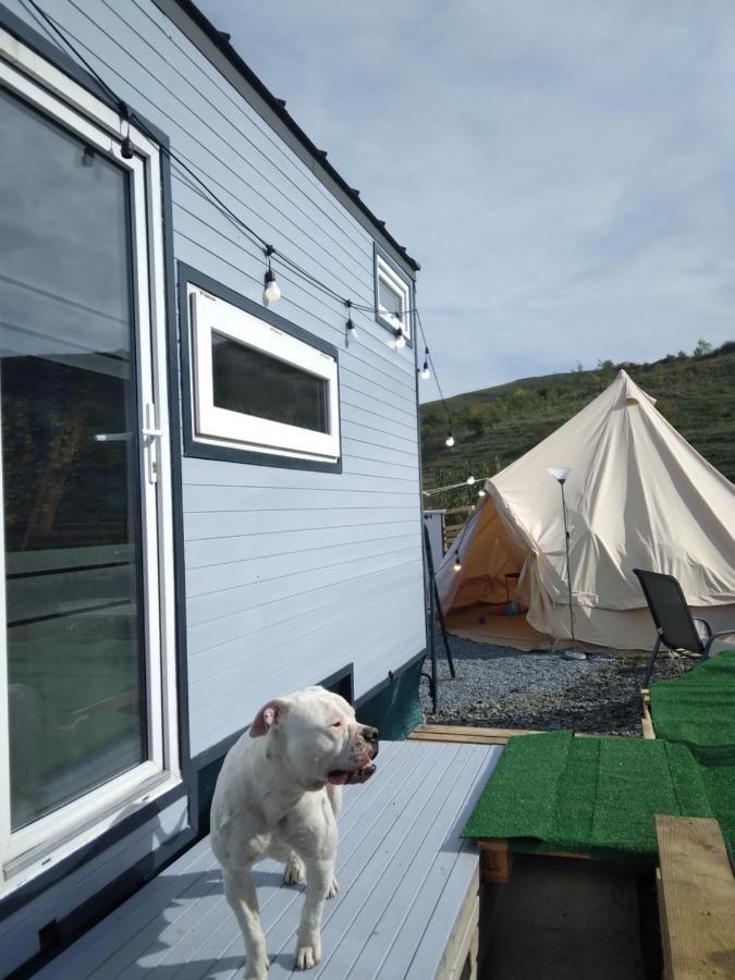 הוילה Sinnicoara Tiny House Cluj With Jacuzzi מראה חיצוני תמונה